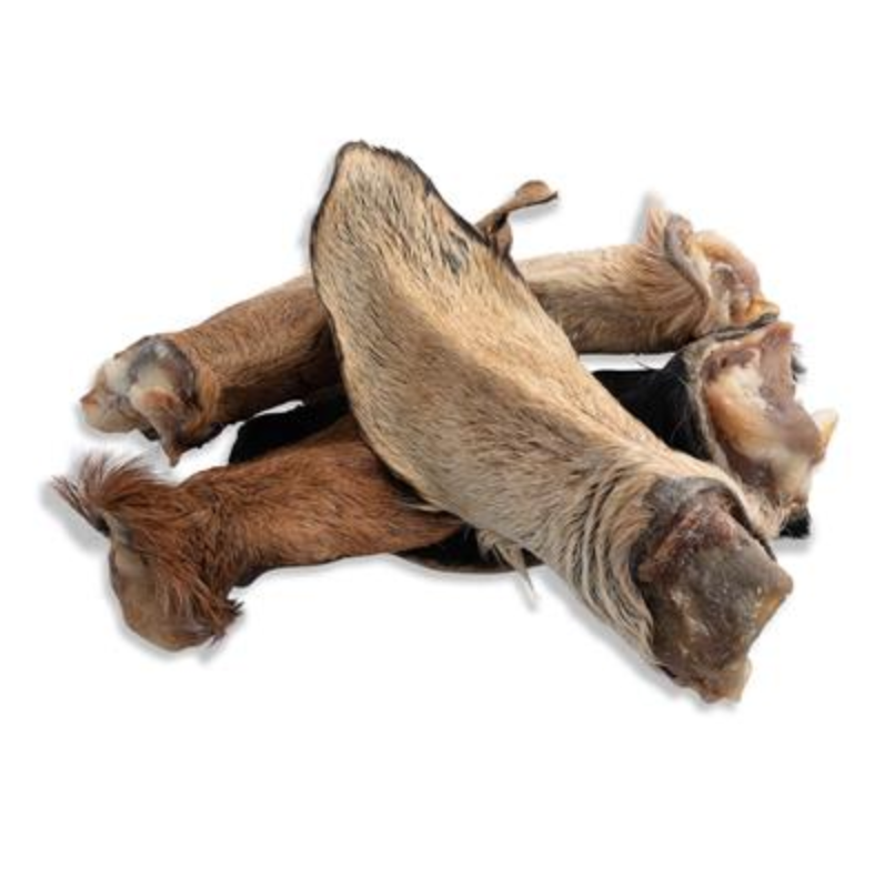 Goat Ears