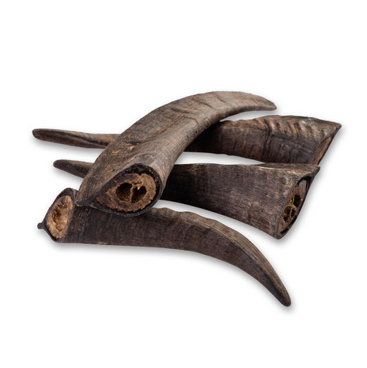 Medium Goat Horn (15-20cm)